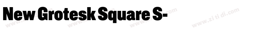 New Grotesk Square S字体转换 New Grotesk Square S字体转换
